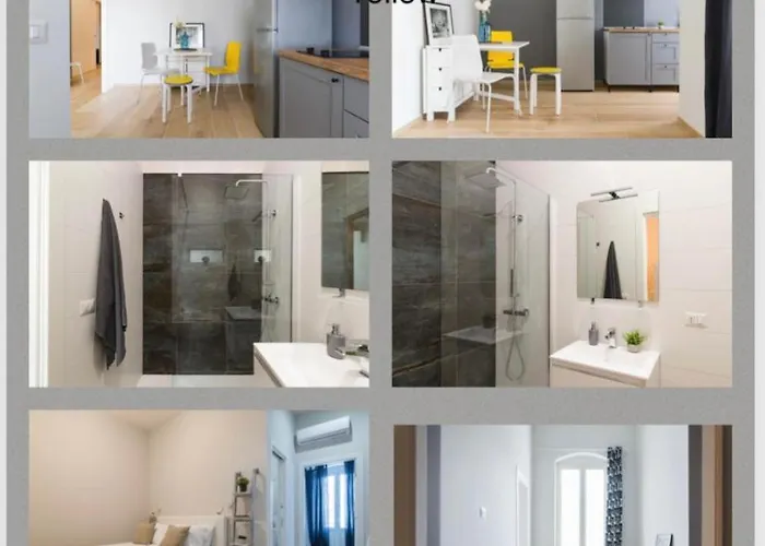 Murat Nelcuoredibari * 바리