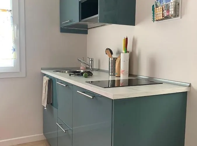 Murat Nelcuoredibari 바리